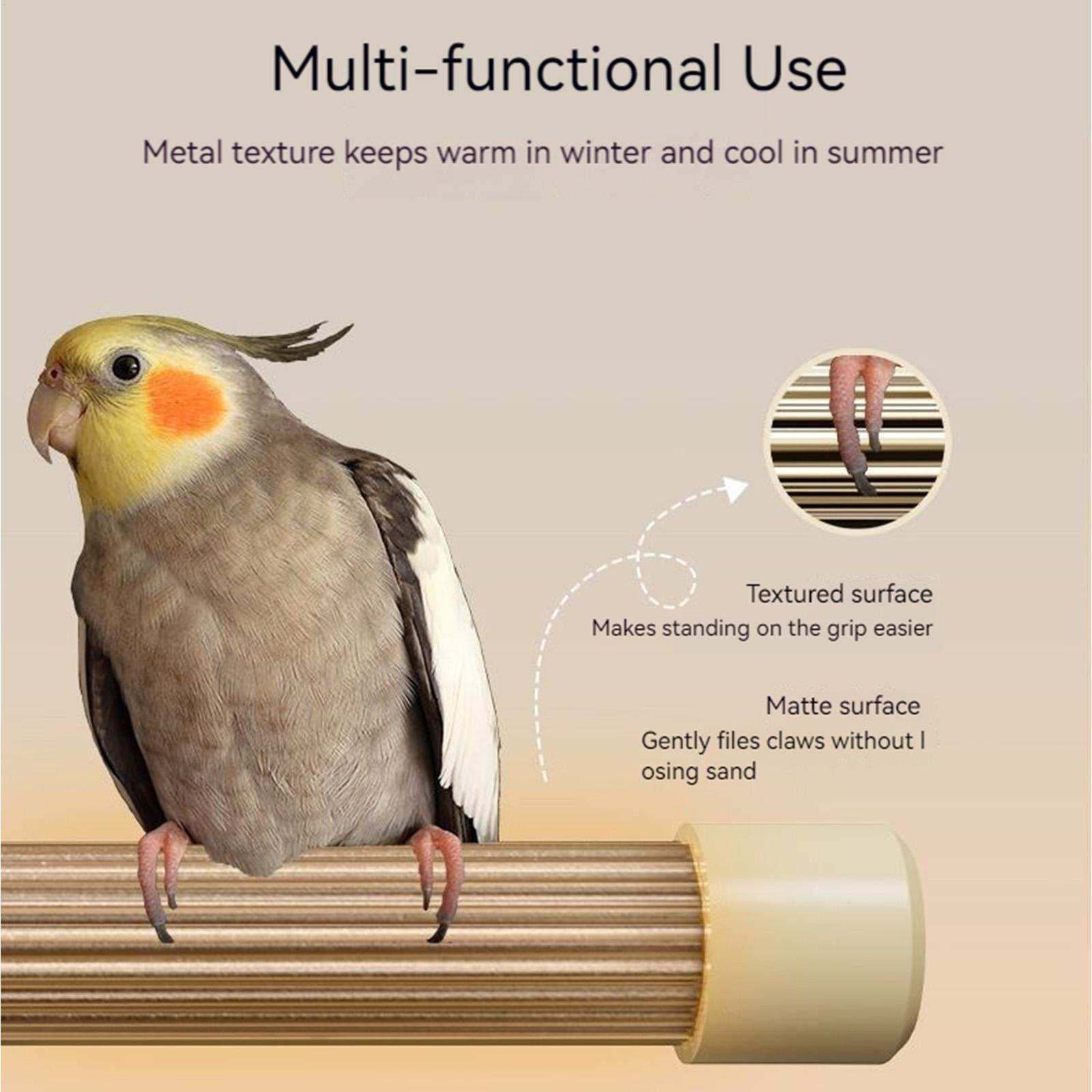 Bird Heating Perch Stand Warme - đánh giá và giá Patio Heater Standing
