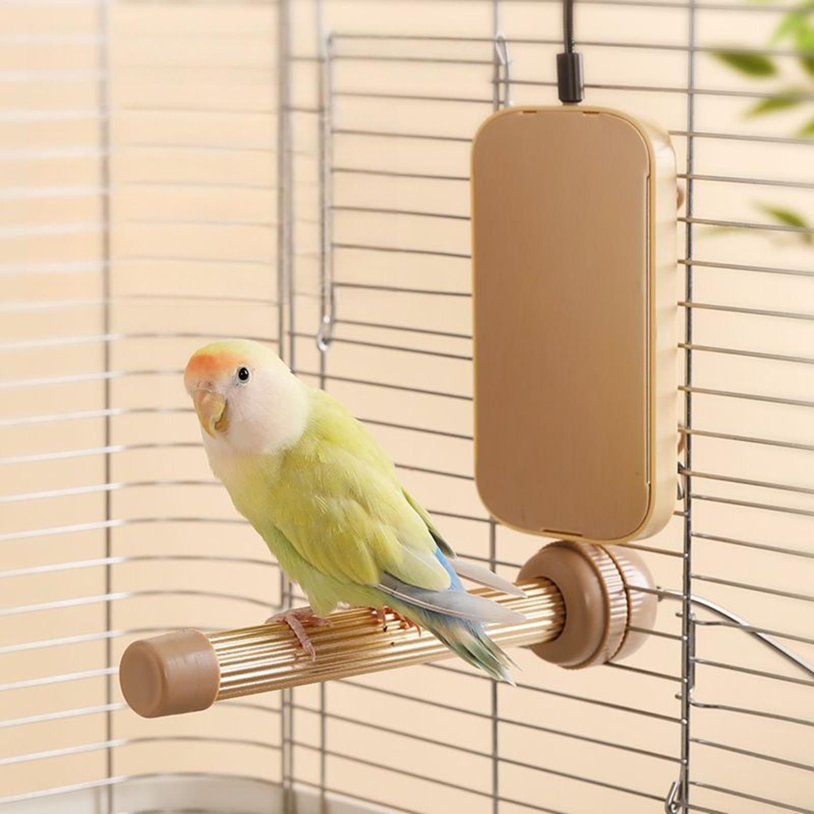 Bird Heating Perch Stand Warme - đánh giá và giá Patio Heater Standing